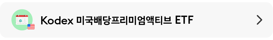 미국배당프리미엄액티브.png