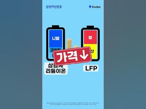 💥 테슬라 긴급 뉴스 (feat.모델Y) 💥